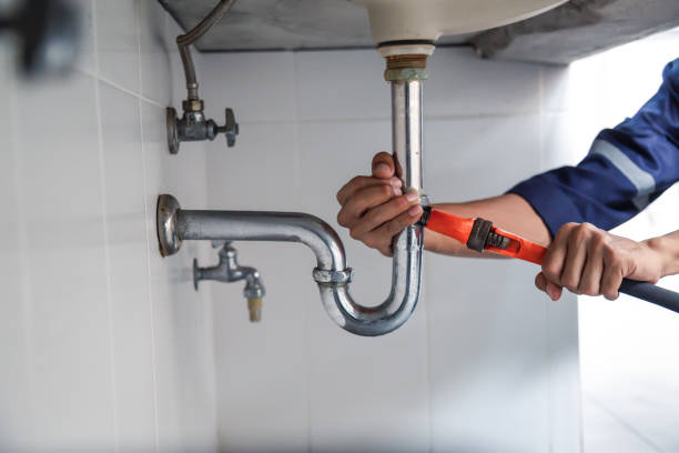 Best Commercial Plumbing Services  in Polk City, IA